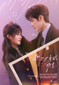 Ты — моя запоздалая радость (2026)